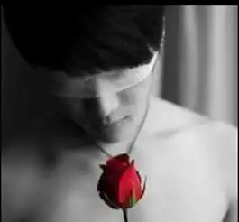 为什么你要伤害一个爱你的人