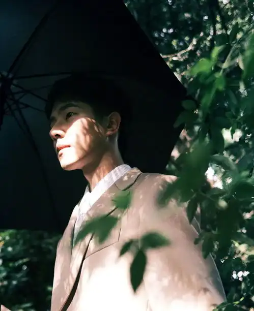 快讯易烊千玺大片刘诗诗美图郑爽新造型陈伟霆封面