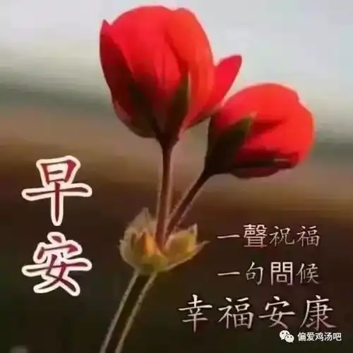 不用打字就可以聊天的图片