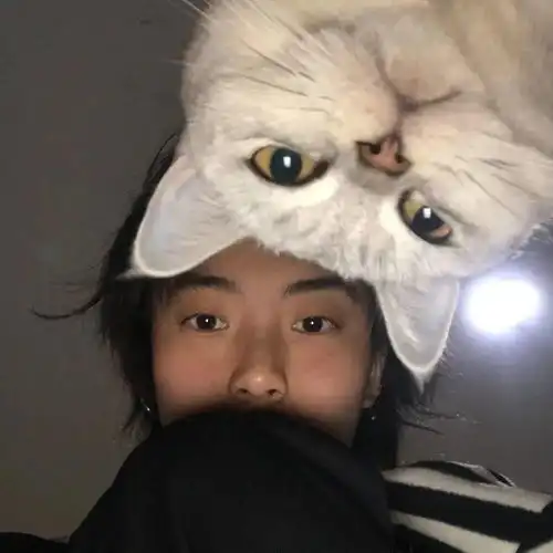 太快人心猫躲树上往路人头顶滴鼻涕,最后被捕入狱...