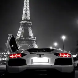 林w8hgk的秒拍视频秒拍10秒拍大片