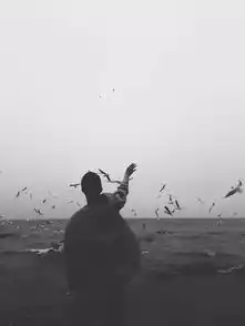 不祝你成熟,但愿你幸福