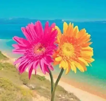 这句话,适合任何关系