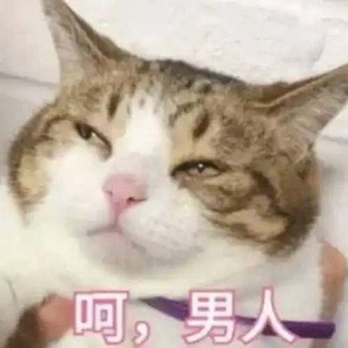 限量测试今日开启你绝不想错过的乙女手游
