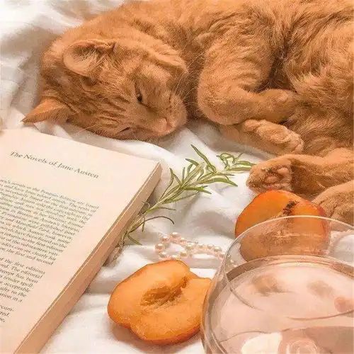 网易云热评失恋博物馆里一个男孩,一直盯着墙上车票,管理员说