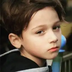 12月国内将出现5款巅峰之作,苹果在中国禁售,国产机春天到来