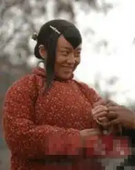 李小璐谢娜陈乔恩闫妮明星最丑剧照曝光