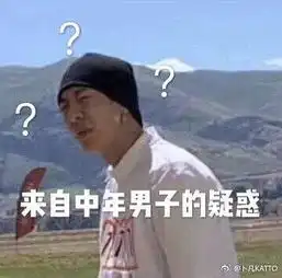 小凡竟然说自己是中年男子