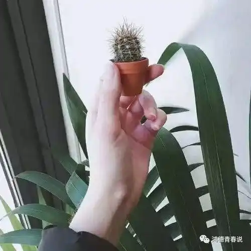 请记住我,虽然我要去远方