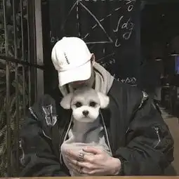 正统第一人dj雅森高音质在线试听正统第一人歌词歌曲下载酷狗音乐