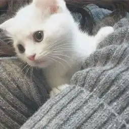 朋友住院了,明天直播,爱你们,等我啊