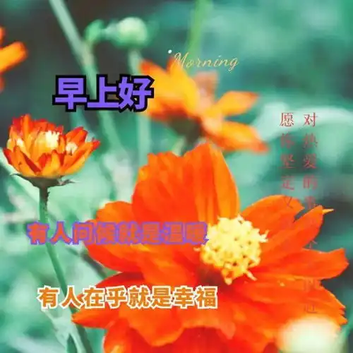 新早上好漂亮图片祝福,早上好图片大全最新最美最漂亮2023