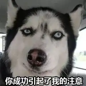 一激动忘了自己身份大妈力擒窃贼,民警一查,她也不简单啊