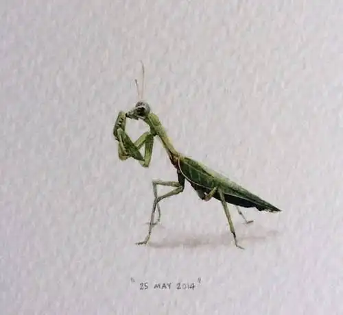 有深度有涵养的人生哲理,经典至极,大彻大悟