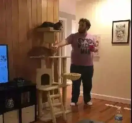 你知道,什么是弃猫效应吗