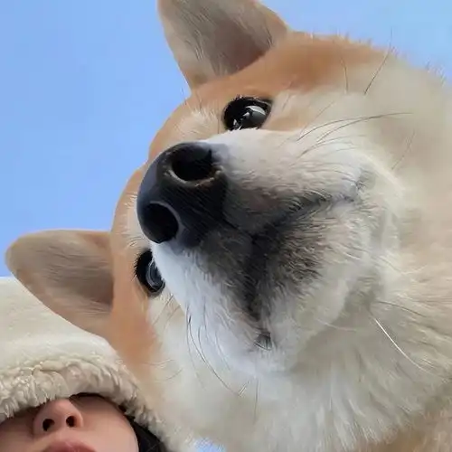 适合女生长期不换的微信头像