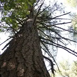 2024大亮子河国家森林公园门票,汤原大亮子河国家森林公园游玩攻略,大亮子河国家森林公园游览攻略路线地址门票价格