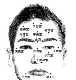 面相夫妻宫丰满,男可娶好太太,女可嫁好丈夫,你是吗