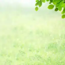 男装背景图片免费下载第4页千图网