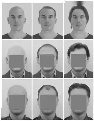 jesp领导者都脱发吗人们对不同发量的领导者偏好研究唧唧堂论文解析