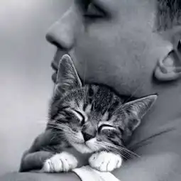 鉴定一个人帅不帅的标准,原来竟是这样