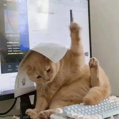 记录平凡充实的每一天华师人聊天的常用词