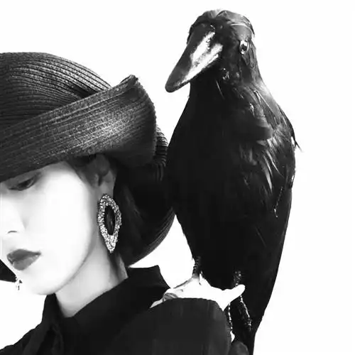 快手黑白女生头像,一个愿意听你说废话的女人