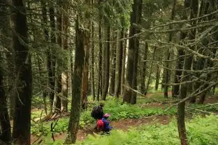 阿尔卑斯山绝美风光之顺时针环勃朗峰徒步tmbtourdumontblanc