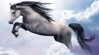 婚后不沾花惹草的3生肖男,好运常伴,在一起就是一辈子