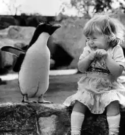 萨提亚我想爱你而不用抓住你