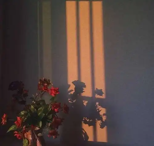 3天后,喜讯传来,心花怒放,3星座告白成功,收获真爱