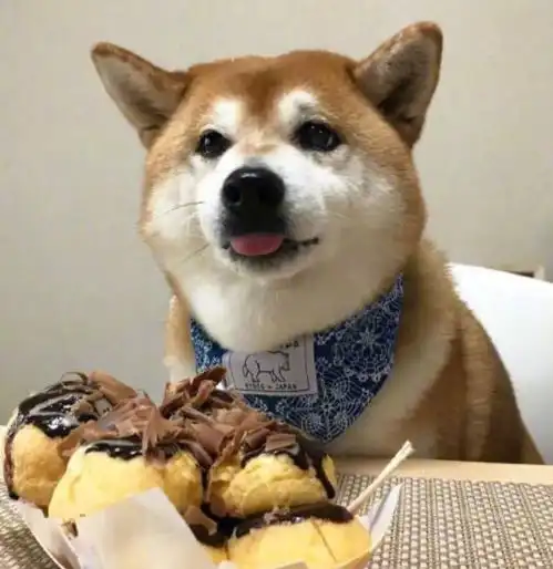 今天,我们准备做一道菜