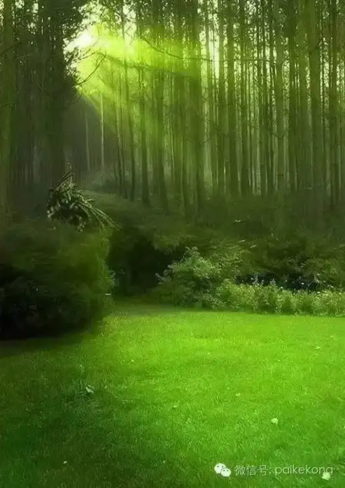 2019绝版照片,美死朋友圈