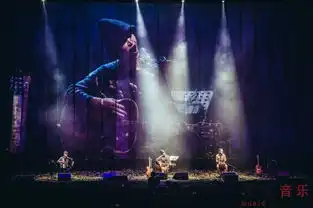 野孩子乐队20周年上海站一群中年男子固执歌唱