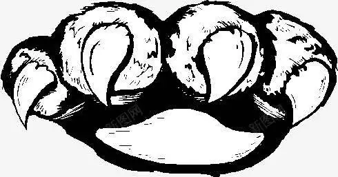 黑白爪子设计图片免费下载页面网页平面电商创意素材猫爪素材