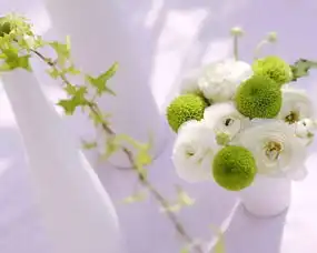 你的善良,就是最好的风水
