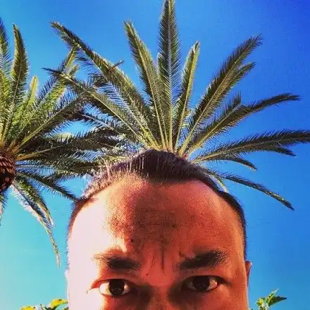 陈奕迅头顶椰树搞怪自拍自嘲额头像山丘