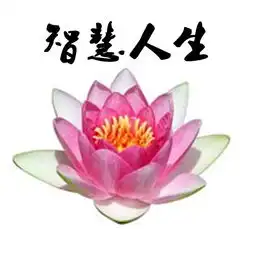 智慧人生在线收听mp3全集蜻蜓fm听文化