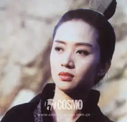 红人馆张柏芝黎姿李冰冰都扮演过男装,简直霸气到飞起