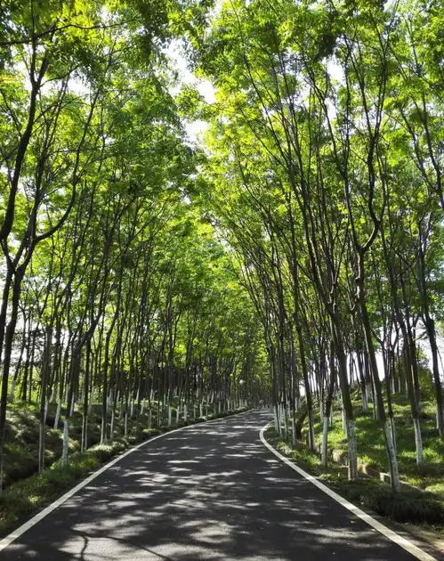 宜兴最令人惊喜的景点用花草树木绘出了一条龙