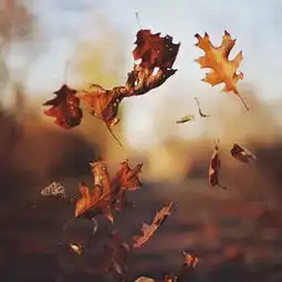 这一句小女不才楠楠高音质在线试听这一句小女不才歌词歌曲下载酷狗音乐