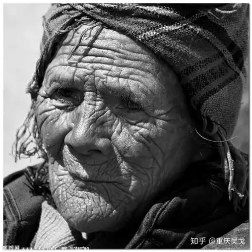 请问蜉蝣及夕而死,夏蝉不知春秋该如何理解