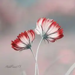 24个修身养性的佛家语录,看完让人大彻大悟