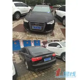 信阳男子用磁贴给车牌变脸称在洗车行买的