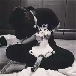 这个是不是情侣头像