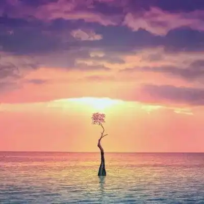 2023最新五彩天空唯美图片