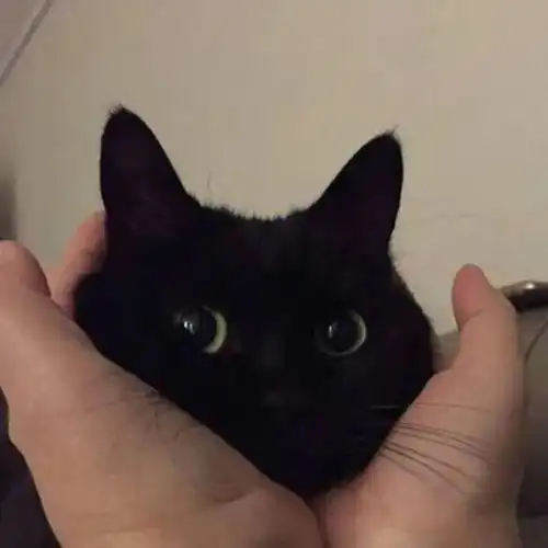 精选头像.ontheotherside