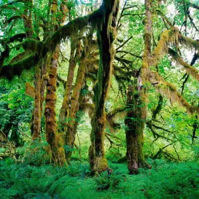 2023神秘山峦风景头像