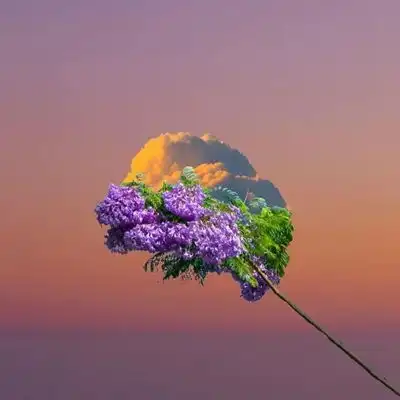 2023高清唯美傍晚风景头像