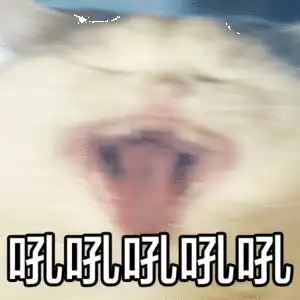 请问有没有什么不玛丽苏的女主快穿小说推荐